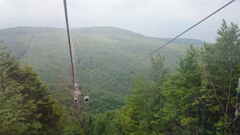 A cable car ascending through green forested hills with the sea visible in the distance