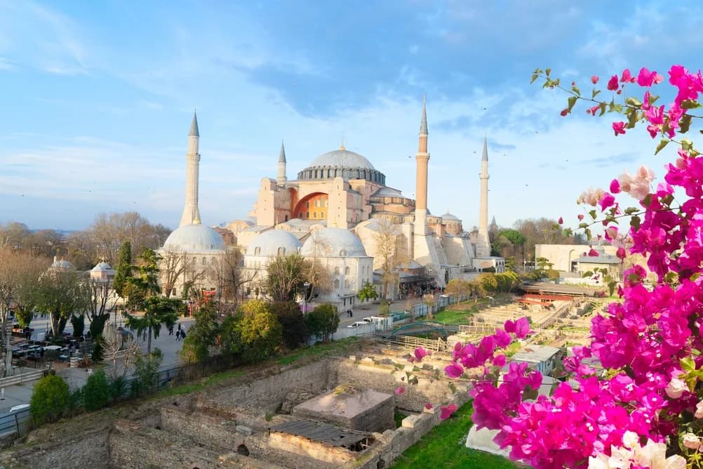 Hagia Sophia domes and minarets seen from the Sultanahmet gardens, Istanbul
