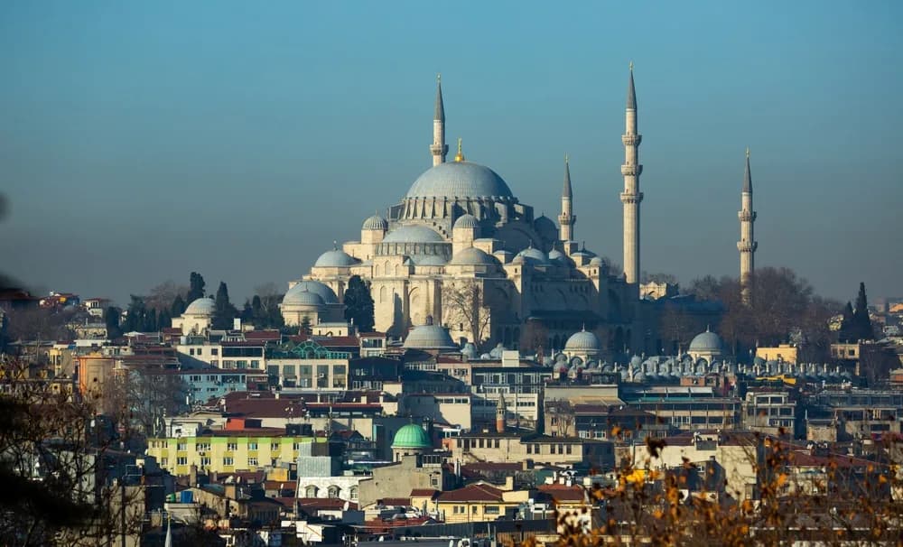 Istanbul skyline with the Süleymaniye Mosque's domes and minarets rising above the rooftops